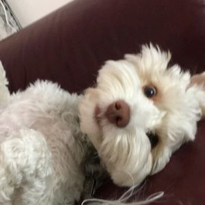 Meet your Posher, Jc